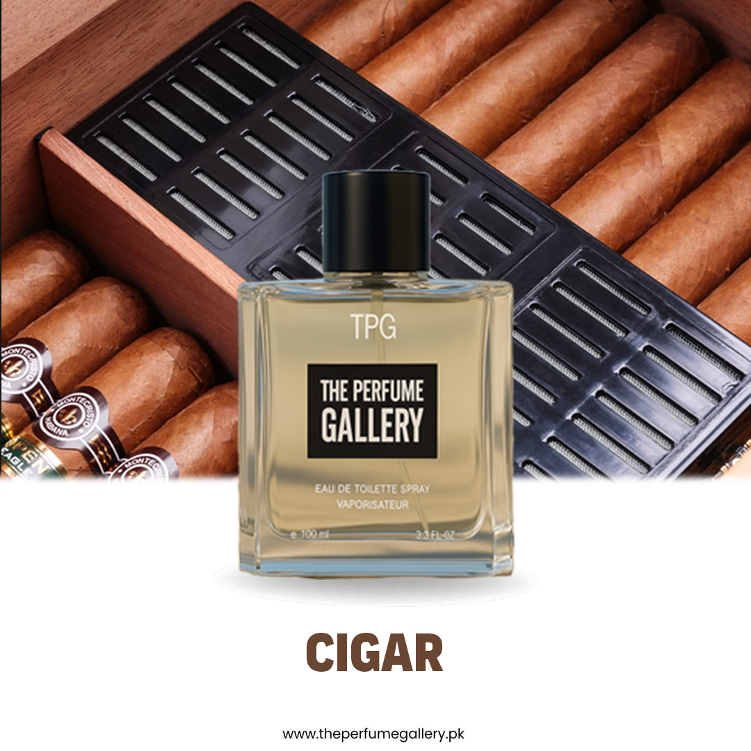 Cigar 100ml